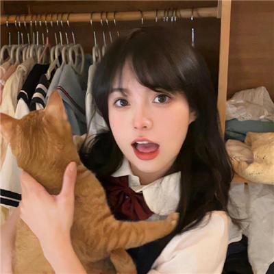 爱猫之城